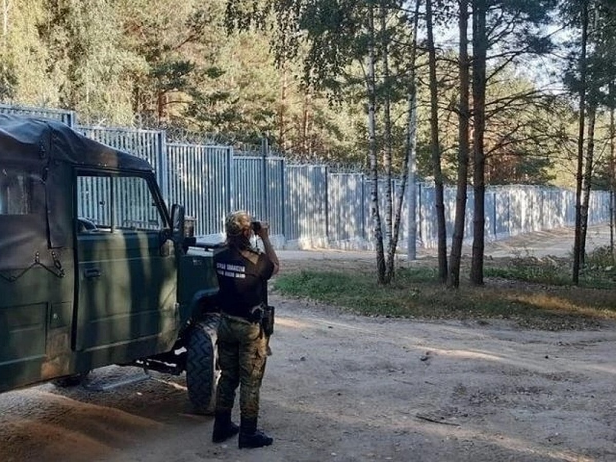 Польша построит электронный забор на границе с Калининградской областью РФ,  как и с Беларусью - KP.RU