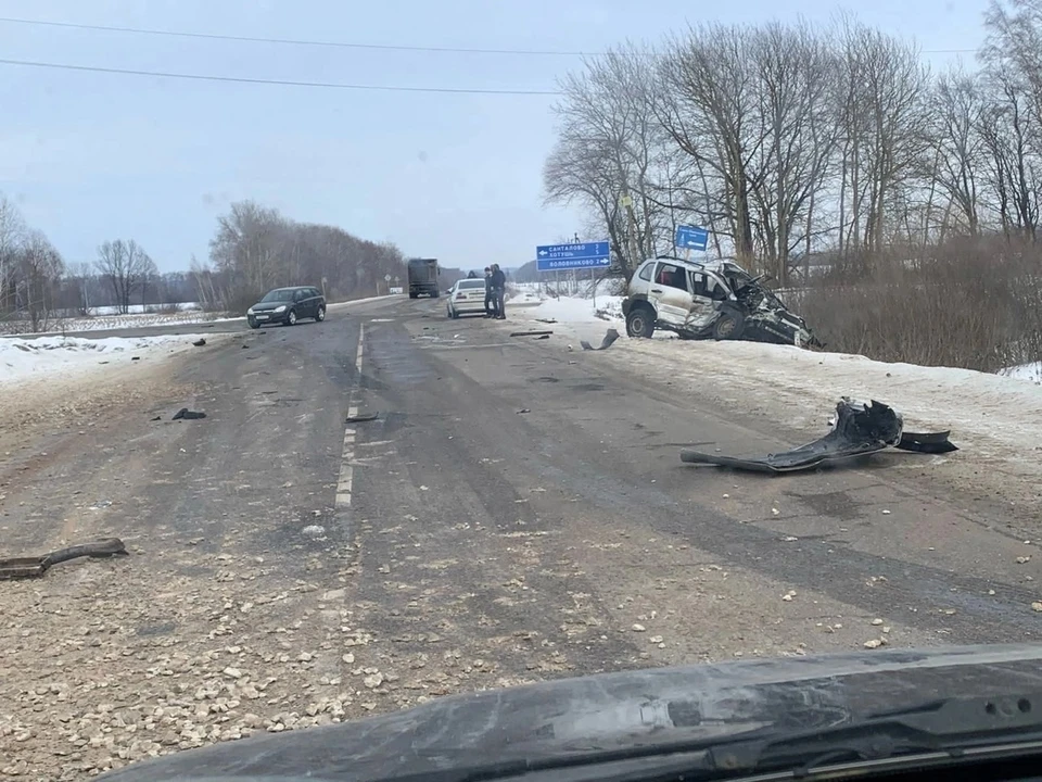 При столкновении с грузовиком в Ясногорском районе Тульской области погибла автоледи