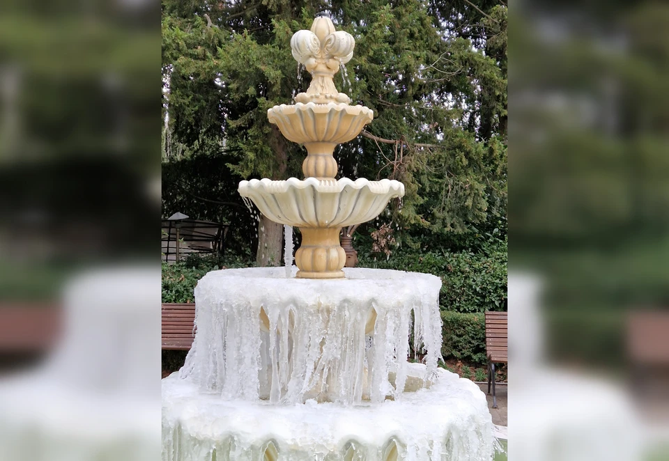В Никитском саду замерз фонтан. Фото: Елена Дарда/Никитский ботанический сад (НБС-ННЦ РАН)/VK