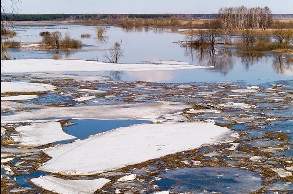 Но точных прогнозов спасатели пока дать не могут.