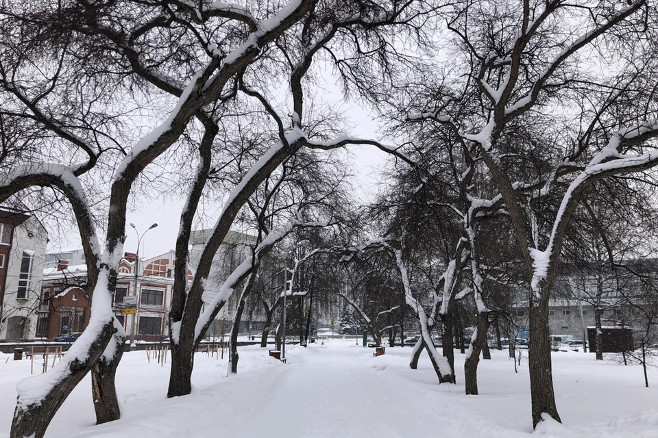 Погода в Пермском крае в феврале | Большая Страна