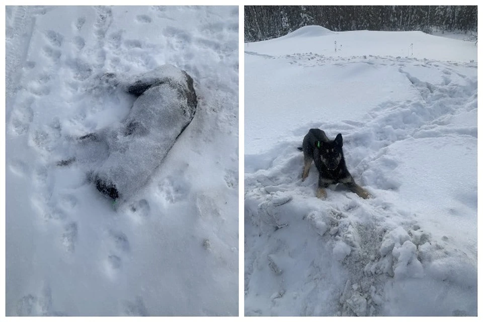 Фото: соцсети
