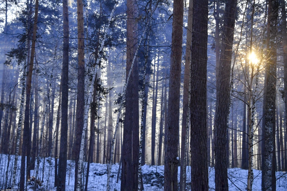 Архив КП