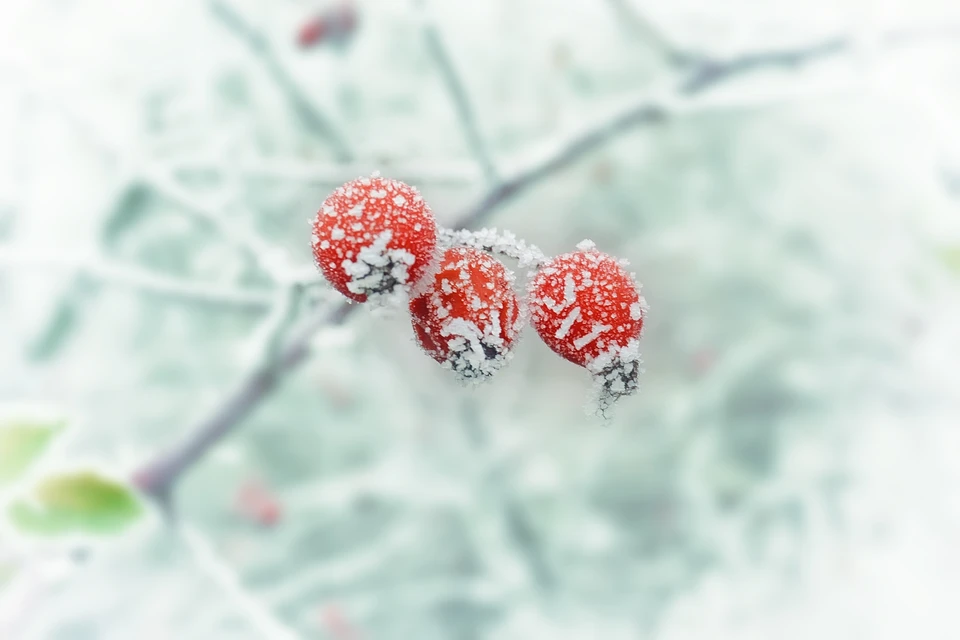 Фото: Photo by form PxHere