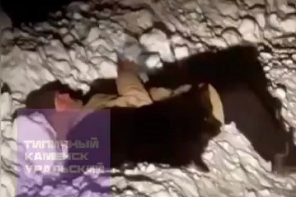 Фото: скриншот видео