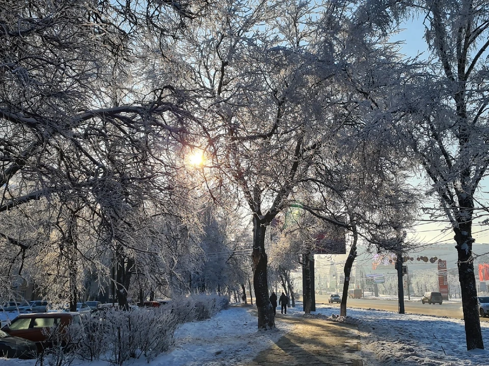 До 8 см снега выпадет в Нижнем Новгороде 20 февраля