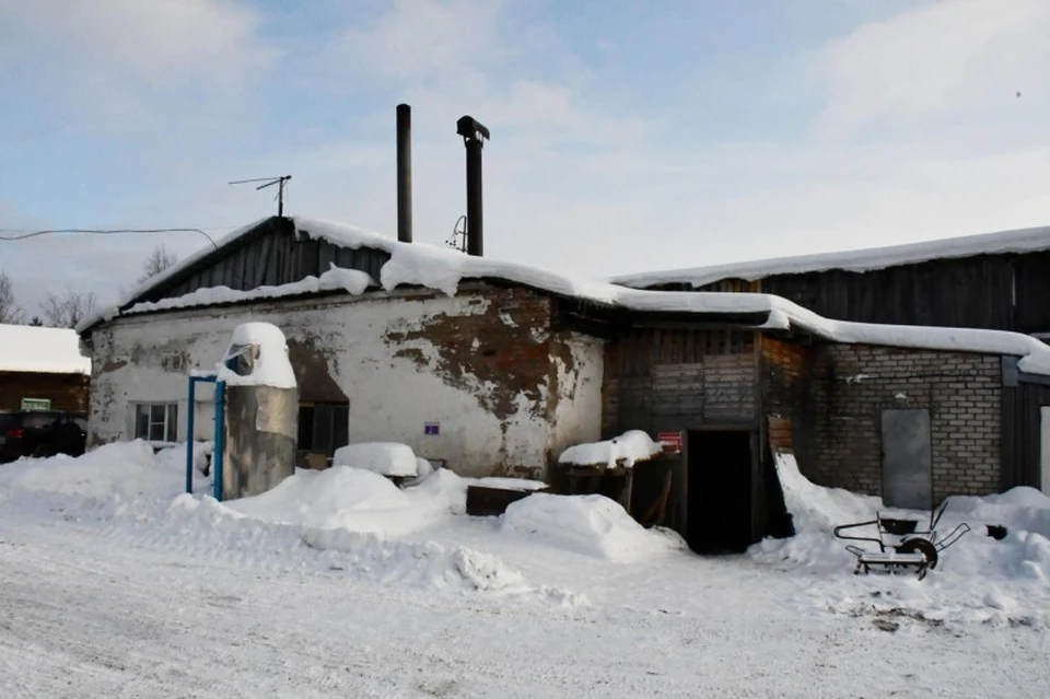 Фото: пресс-служба Усть-Куломского района