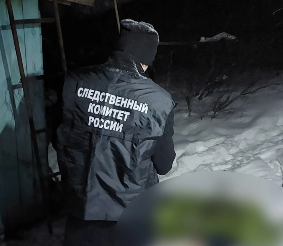 Фото: СУ СКР по Ульяновской области