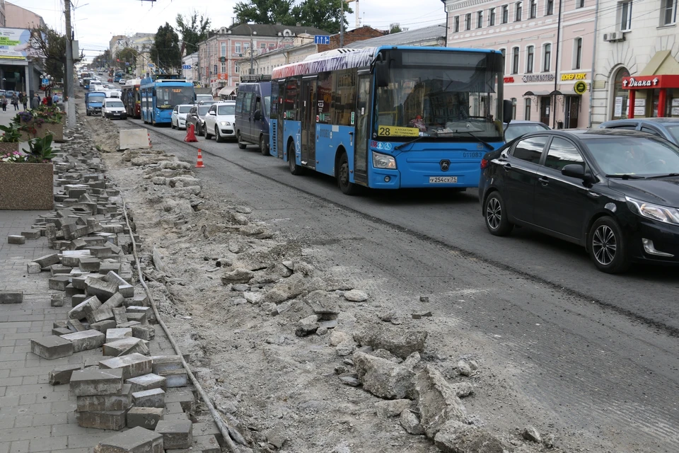 На проспекте Ленина в Туле появятся крупнолистные липы