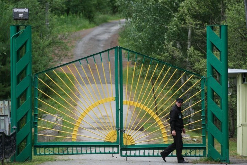 В летние каникулы лагеря дневного пребывания откроются на базе 147 школ, 4 учреждений дополнительного образования и 8 детских садов