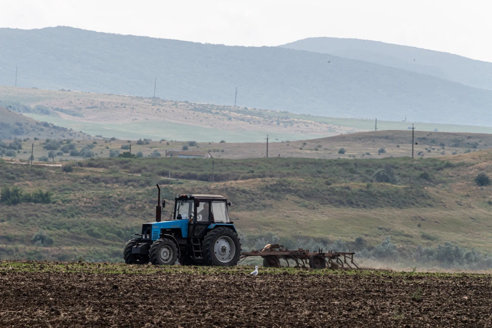 В Крыму выявили почти 300 неиспользуемых земельных участков сельхозназначения и объектов капитального строительства