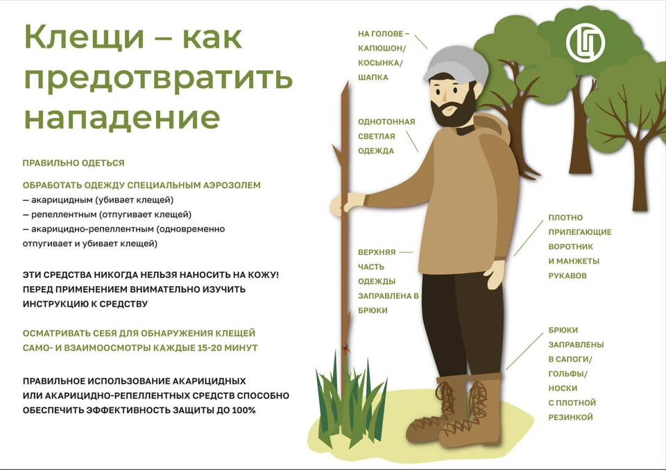В Тюменской области с марта наступает весенний период активности клещей