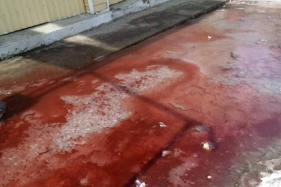 Жителей села в Бурятии напугали «кровавые» ручьи. Фото: "Мухоршибирь-инфо.24/7"