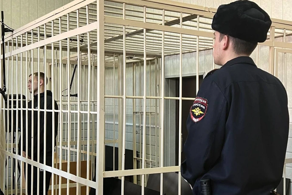 Дмитрий Волков, которого признали виновным в умышленном убийстве и незаконном хранении оружия, получил 11 лет строго режима.