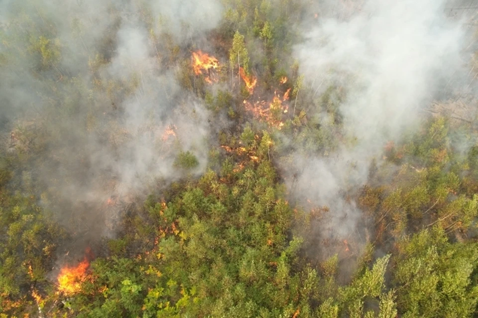 Пожароопасный период начнется в апреле в Хабаровском крае