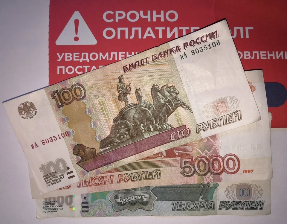 В Липецком районе мать задолжала сыну алименты на сумму более 1,3 миллиона рублей