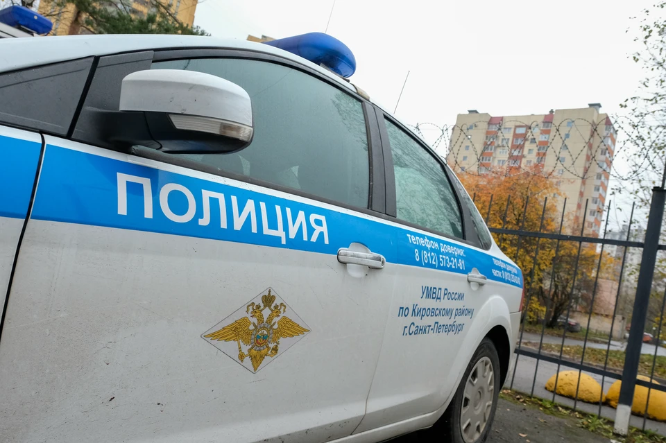 Полиция проводит проверку по факту смертельного ДТП в Колпино