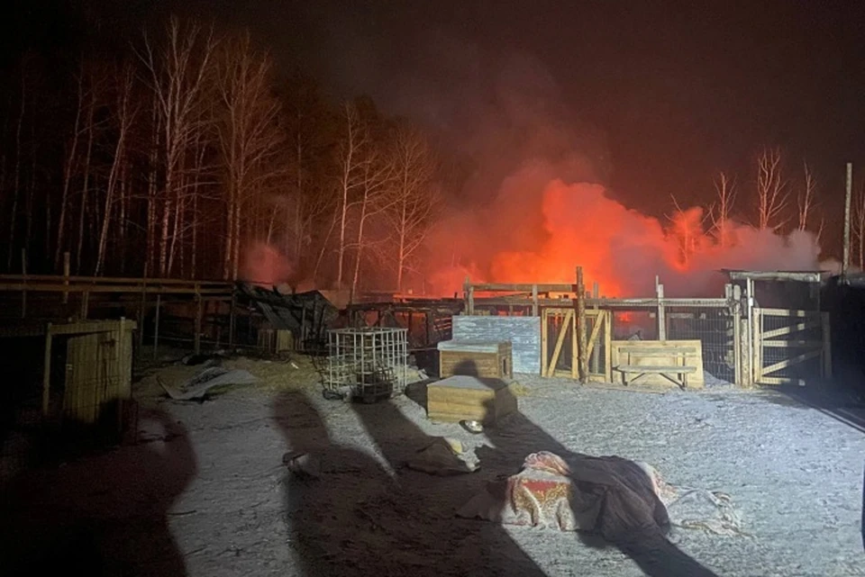 Фото пожара в приюте "Надин Ковчег". Фото: группа "Надин Ковчег" во "Вконтакте"