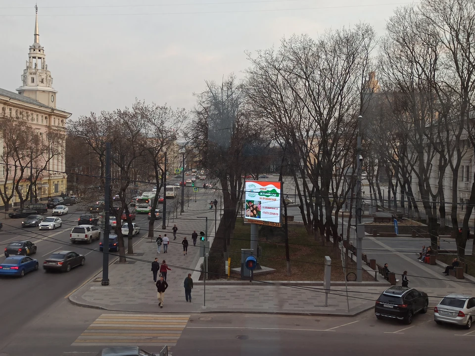 Фото: Анна Гребенкина