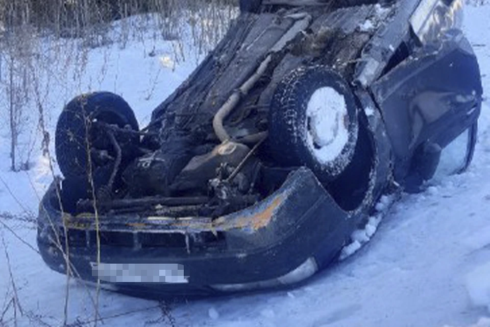 В ДТП пострадали водитель и пассажир автомобиля Фото: УГИБДД России по Тверской области