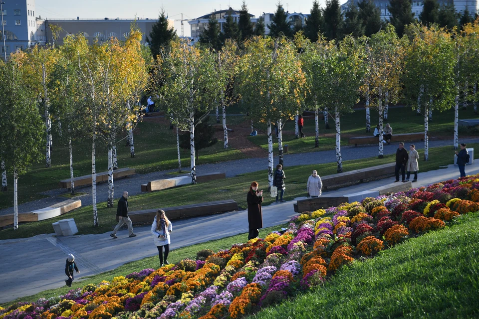 В Ростове высадят более 1 миллиона цветов.