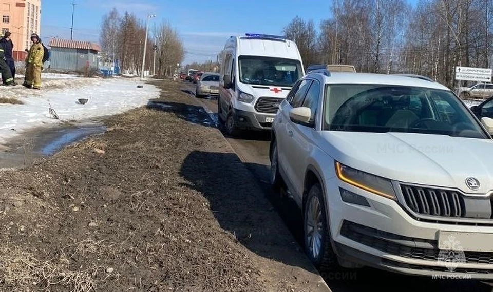 Подробности сообщили в ГИБДД.