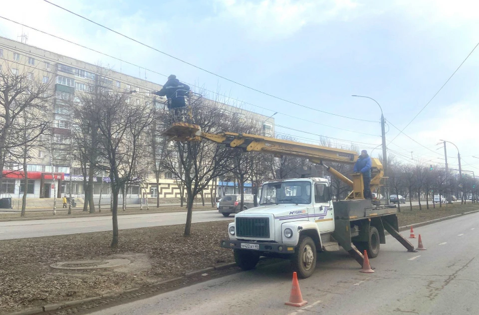 Аварийные деревья спиливают в Липецке на проспекте Победы и улице Гагарина