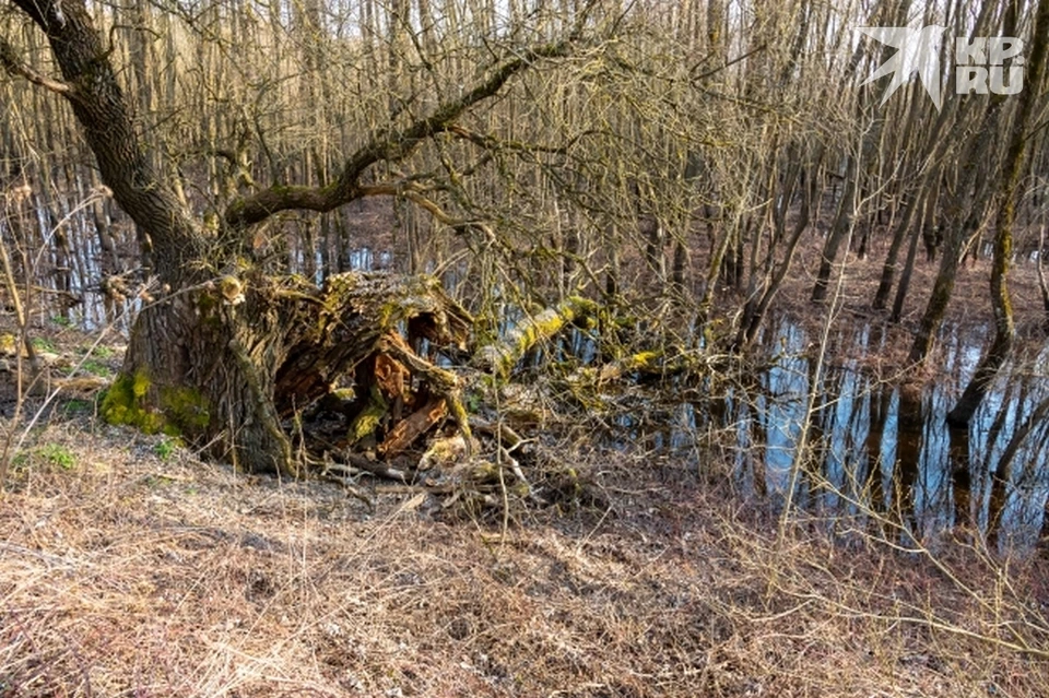 Секс-шопы в Шиловском районе (Рязанская область)