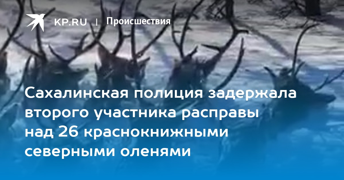 Увеличение потребления мхов и лишайников