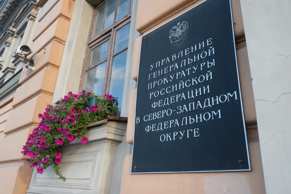 Прокуратура Санкт-Петербурга организовала проверку по факту нападения на несовершеннолетнего