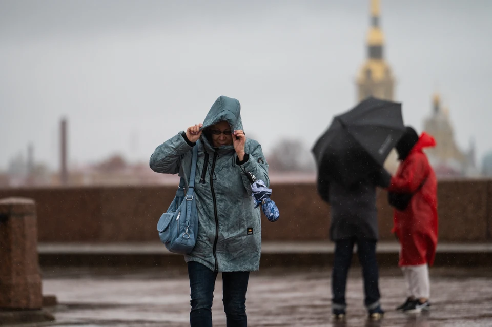 Сильный ветер до 18 м/с накроет Петербург 25 марта