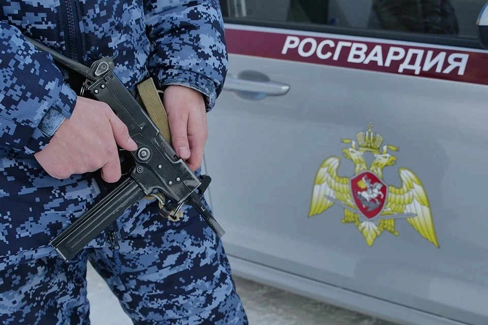 Злоумышленника задержали росгвардейцы