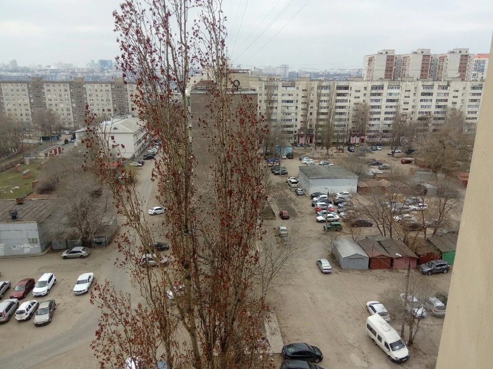 Фото Елены Федяшевой