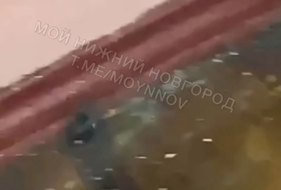 Мышей заметили в школе № 176 в Нижнем Новгороде. ФОТО: Мой Нижний Новгород