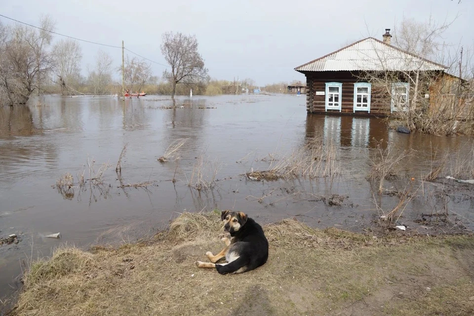 Острый период паводков продлится от двух до пяти недель