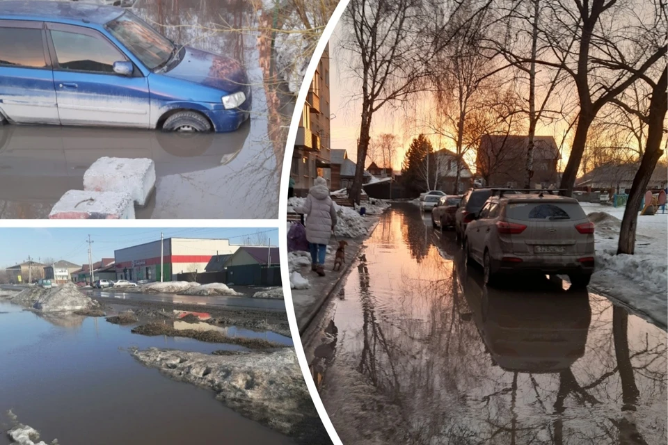 В Новосибирской области резко потеплело, теперь кругом гигантские лужи. Фото: Предоставлено Павлом Болдыревым/Предоставлено Николаем Чужаковым