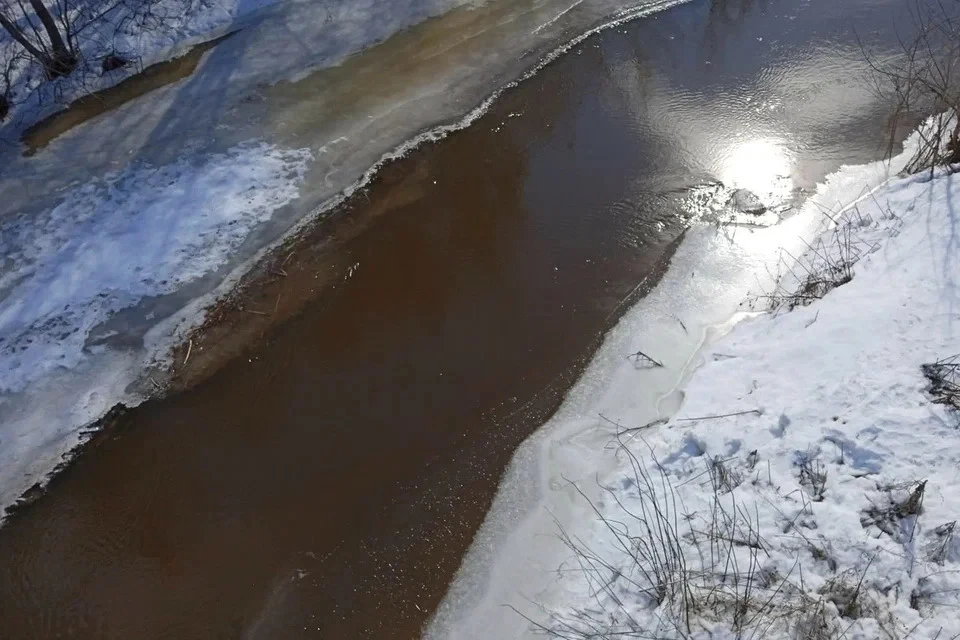 В зоне подтопления находится 31 человек, включая четырех детей. Фото: Елена Шкатова