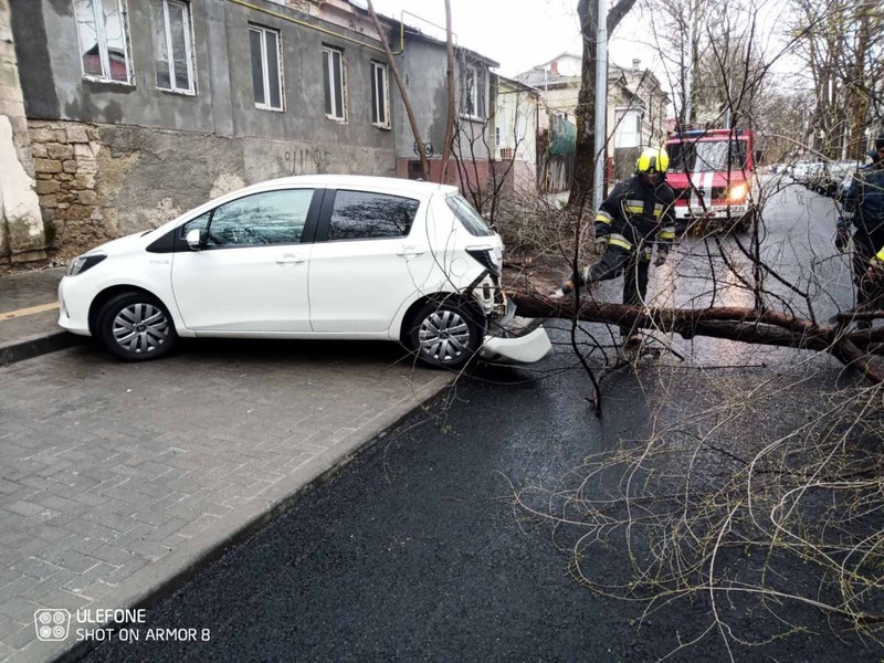 Ветер ломает деревья.