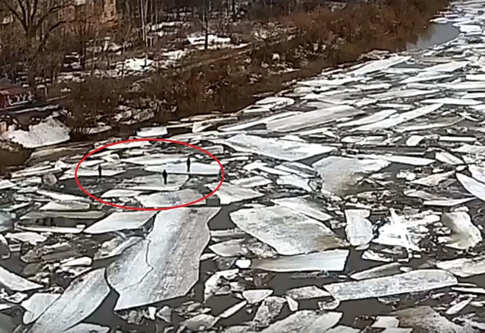 Кадр с видео baza.net