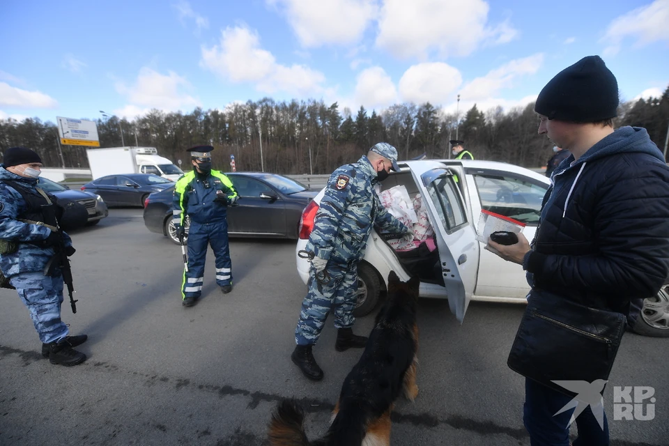 ГИБДД раскрыла результаты масштабных рейдов в Рязанской области 1-2 апреля.