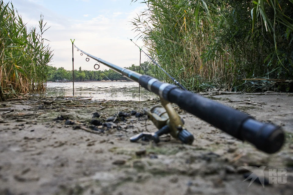 Где запрещено рыбачить в Рязанской области в 2023 году.