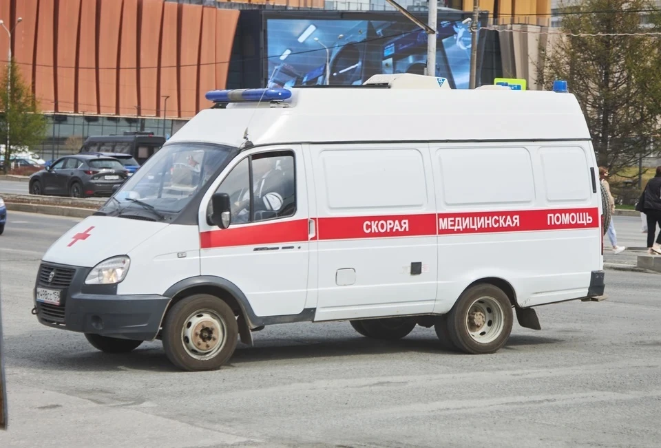 Фото: Николай ОБЕРЕМЧЕНКО