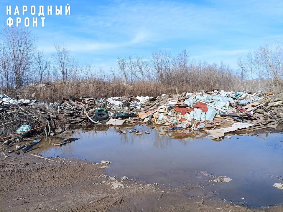 Скопление отходов находилось между улицами 22 Партсъезда и Кабельная. Фото: ОНФ Самарская область