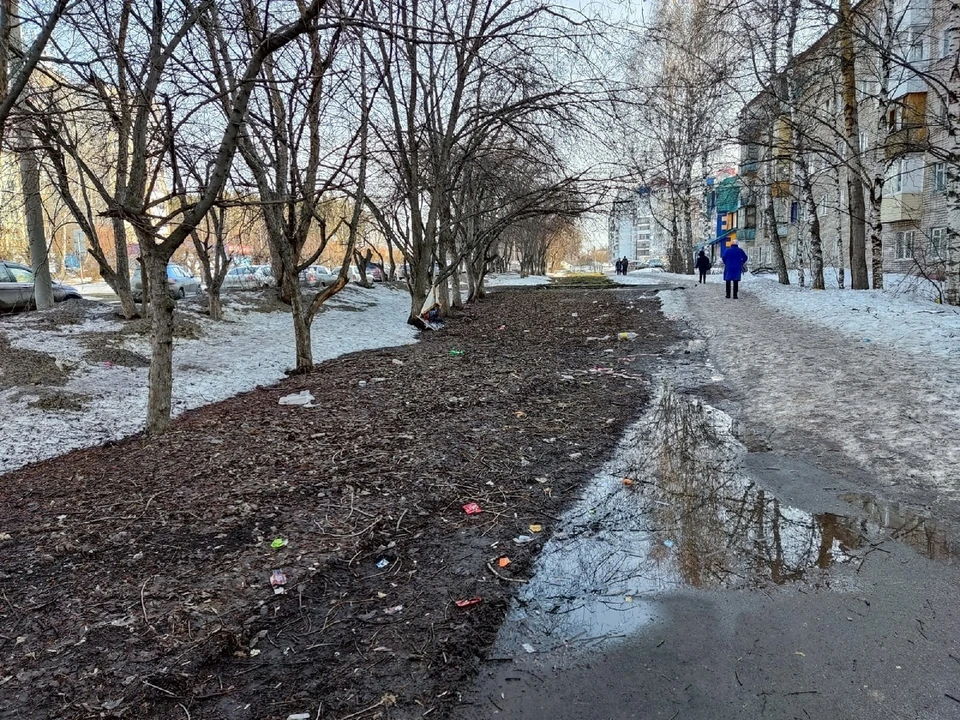 Жители поселка Светлый жалуются на лужи из-за таяния снега. Фото: Анна Ковалева