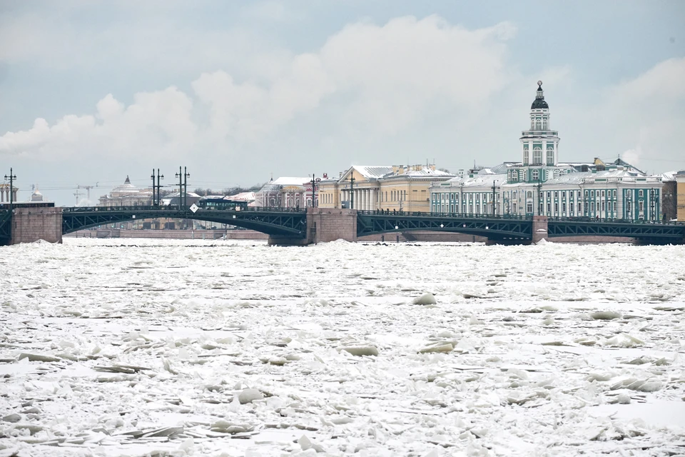 Сгнивший труп в джинсах и кроссовках нашли под Атаманским мостом в Петербурге