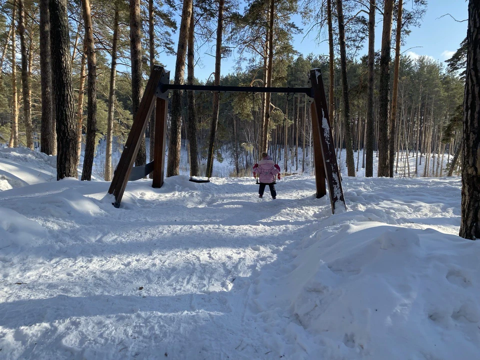 Из-за непогоды и ветра температура воздуха в регионе будет ощущаться как – 5 градусов Цельсия.