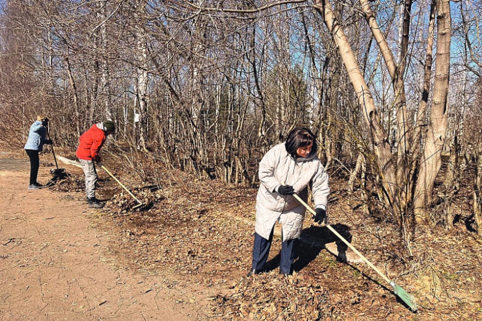 В субботнике поучаствовали чиновники, активисты и молодежь. Фото: kirovreg.ru