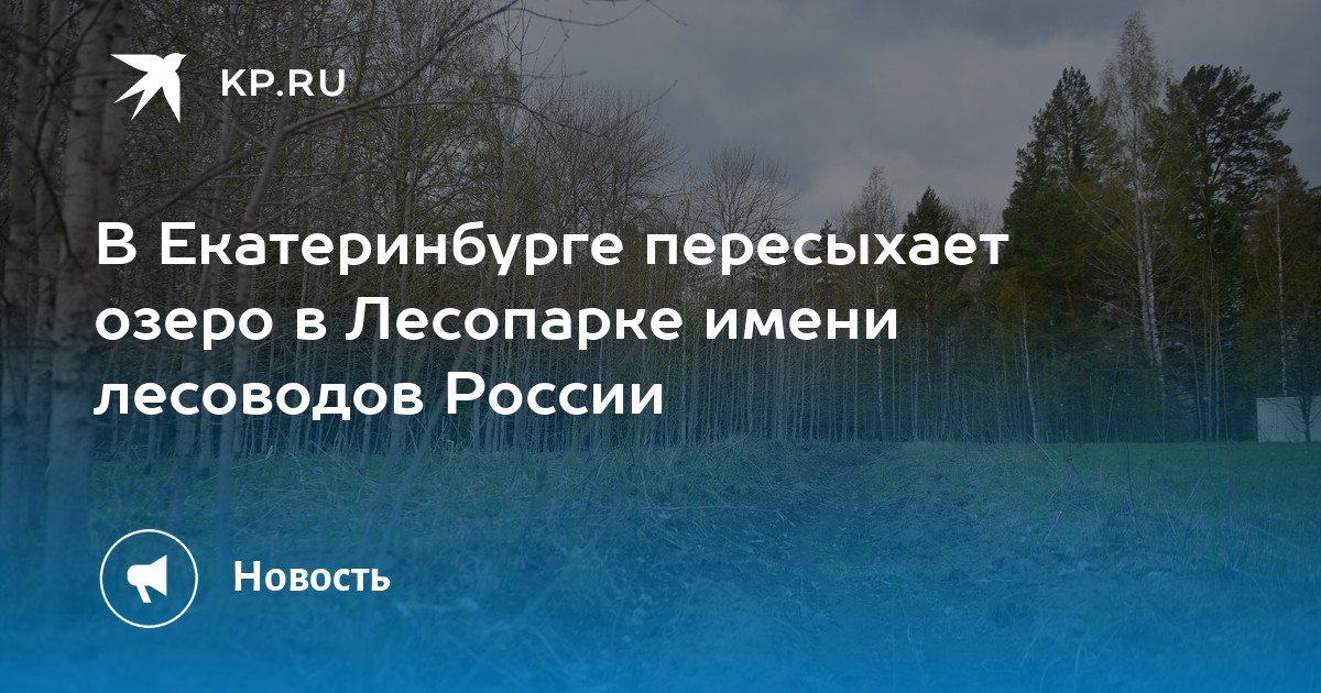 В Екатеринбурге пересыхает озеро в Лесопарке имени лесоводов России - KP.RU
