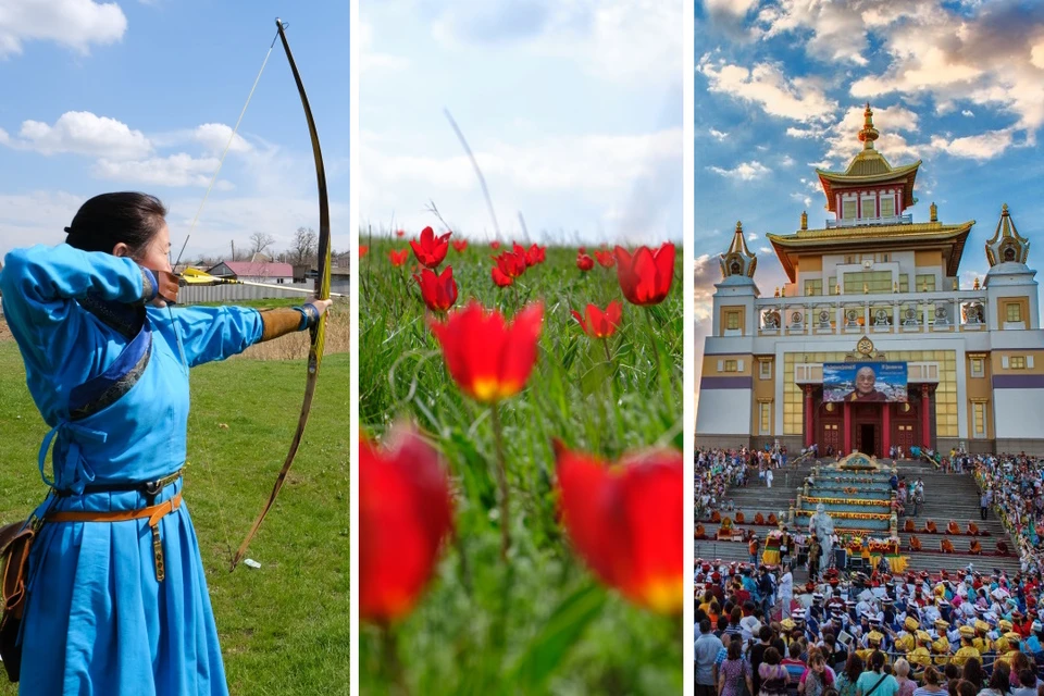 Полюбоваться цветением лазориков и приобщиться к удивительной культуры Калмыкии можно до конца апреля. Фото: РИА "Калмыкия"