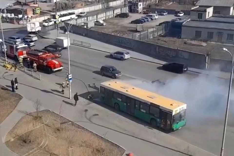 Фото: скриншот с видео